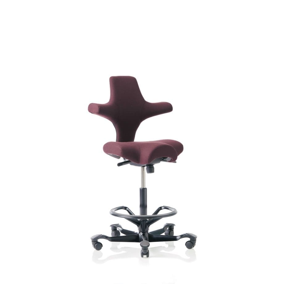 Capisco 8106 – Image 5