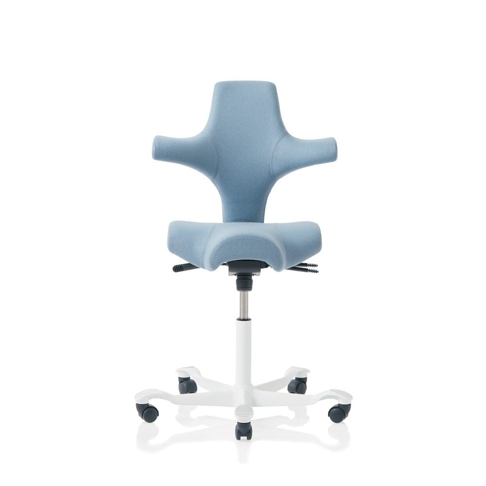 Capisco 8106 – Image 2
