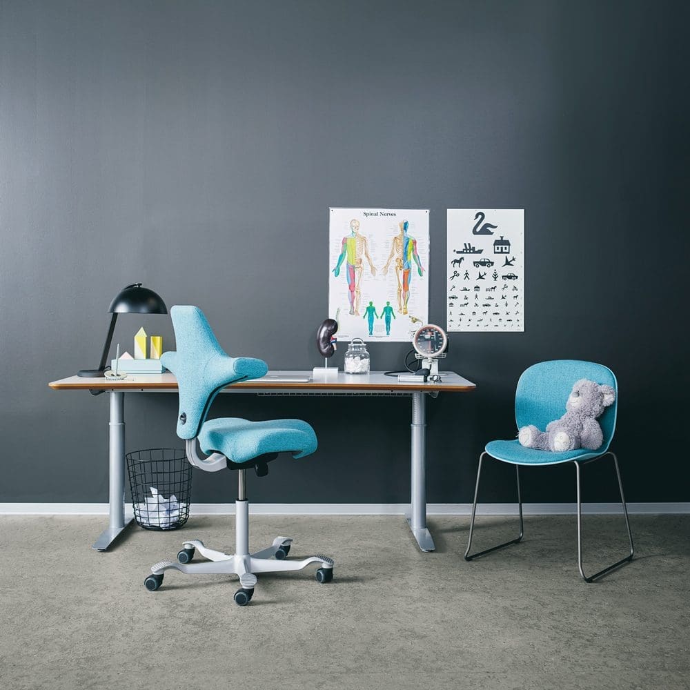 Capisco 8106 – Image 6